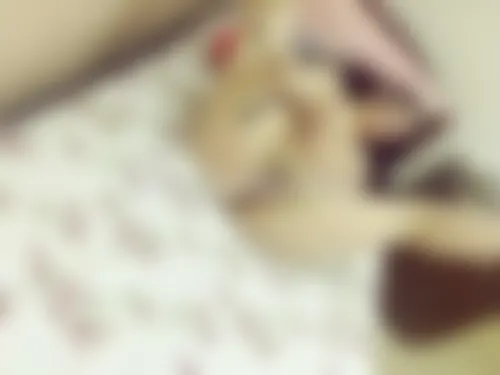 Plan Q beurette algérienne soumise de Tarbes qui offre sa chatte